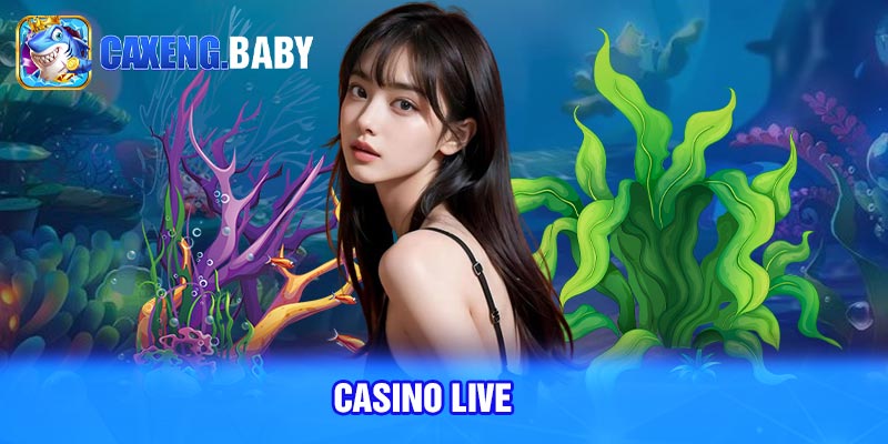 Casino live 