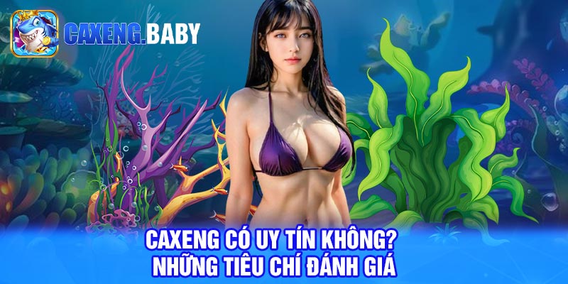 Caxeng Có Uy Tín Không? Những Tiêu Chí Đánh Giá