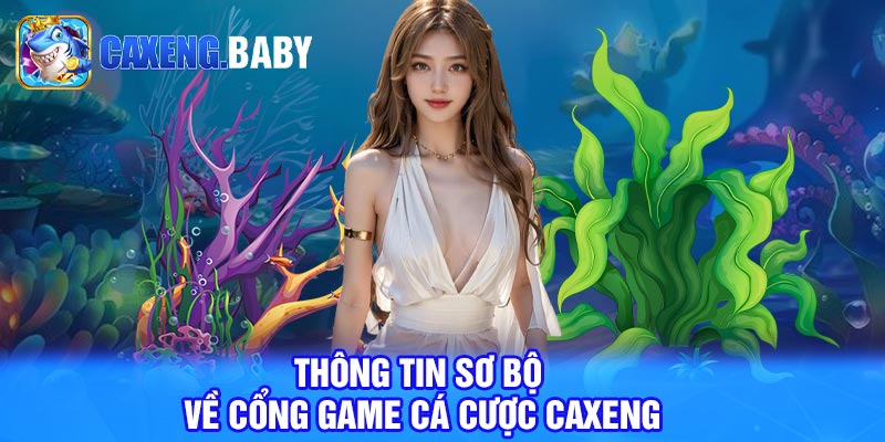 Thông tin sơ bộ về cổng game cá cược Caxeng 